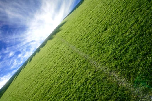 Photo in the series of shots "Football photos autumn 2005"""