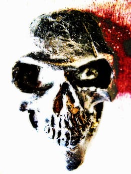 Skull I