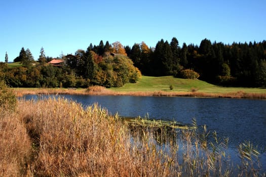 Autumn Impressions II