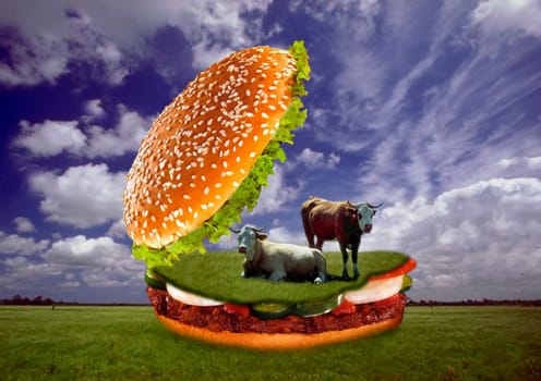MC MUH