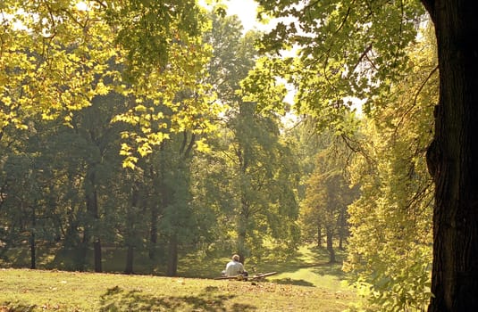 Autumn in the Park
