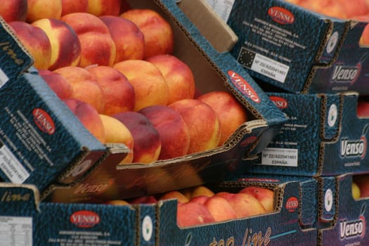 Nectarines