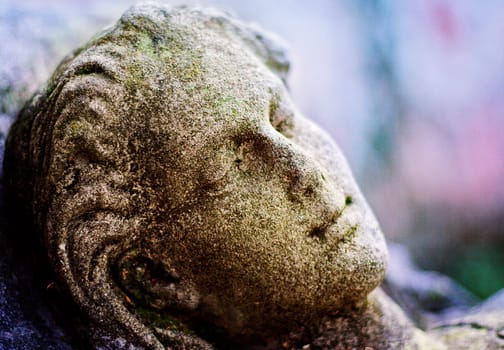Old Cemetery VIII