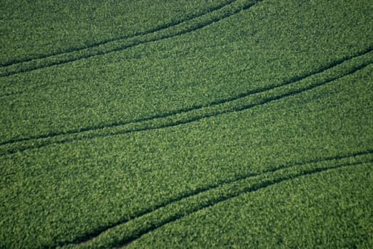 Tractor tracks