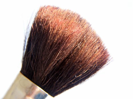Makeup Brush