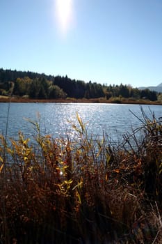 Autumn Impressions VII