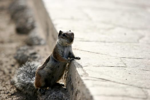When will the bus finally arrive?