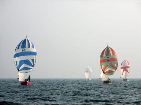 More and more sailboats emerged silently from the fog.