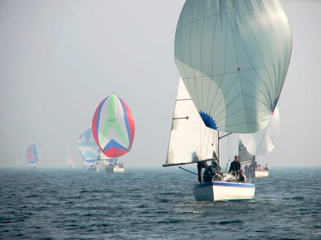 A very special spectacle,a regatta field emerged from the fog.