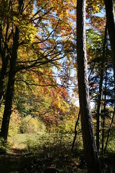 autumnal