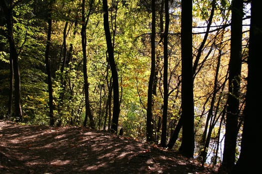 Autumn hike