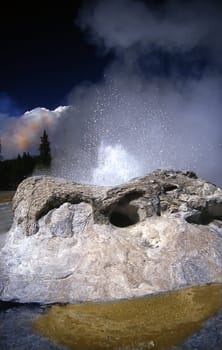 Yellow Stone Natiolpark in August 1988. In the great forest fire in August 1988,1/3 of the forest stand in the oldest American national park was destroyed. (see clouds of smoke on the left) In the Upper Geyser Basin area,an approximately two-hour hike leads to the