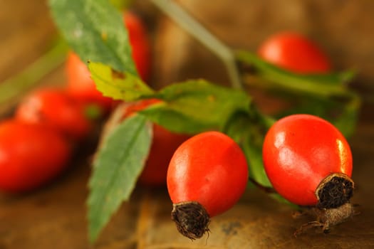 Haws