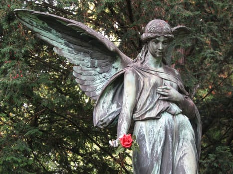 Angel 07