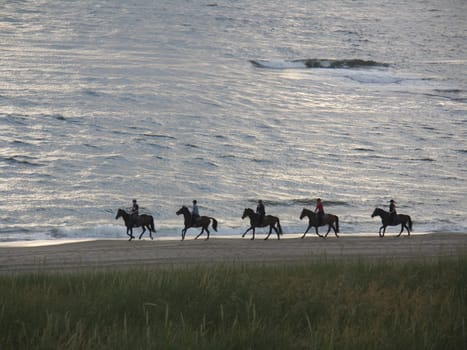 - Holland (den Helder) -