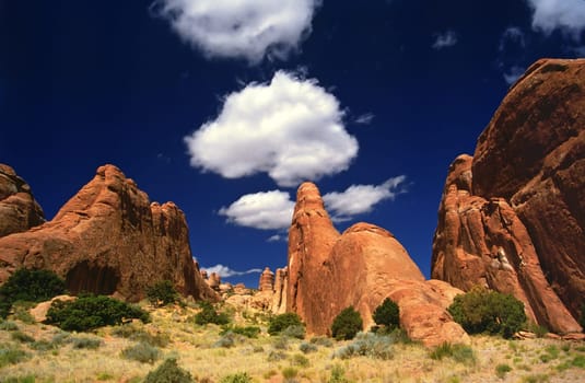 Arches Devils Garden