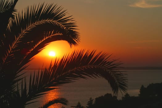 Sun Down