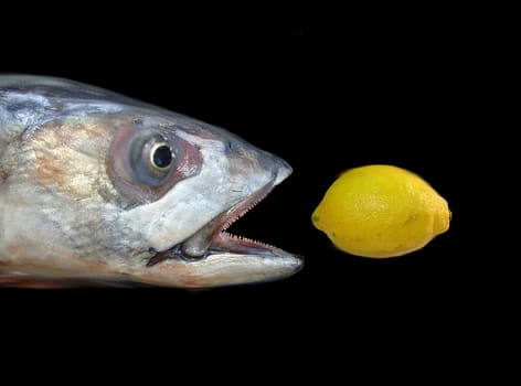 Hunt for vitamins