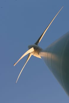 Wind turbine 1