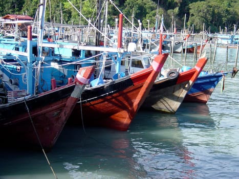 In a fisher harbour Penang,Malaysia,Adobe RGB (1998)