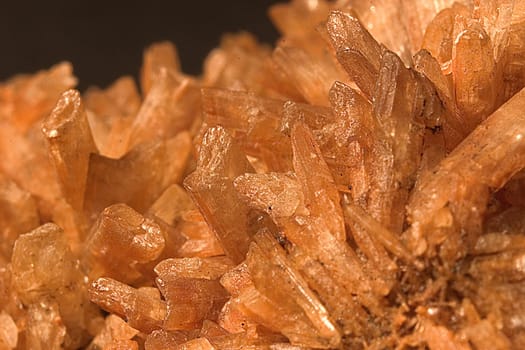Gypsum crystals 03