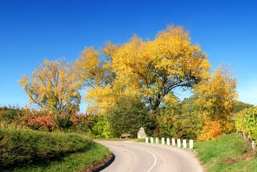 Autumn Landscape I