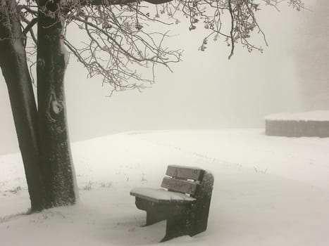 Winter Impressions II