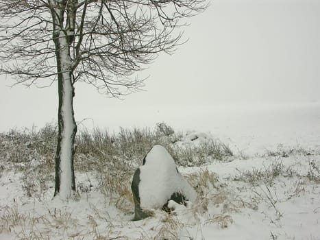 Winter Impressions III