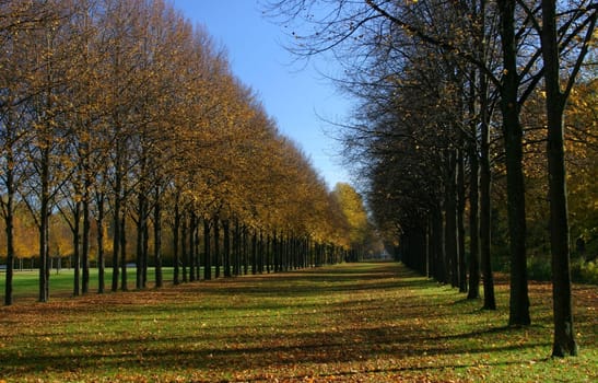 Avenue