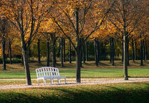 Park with bench