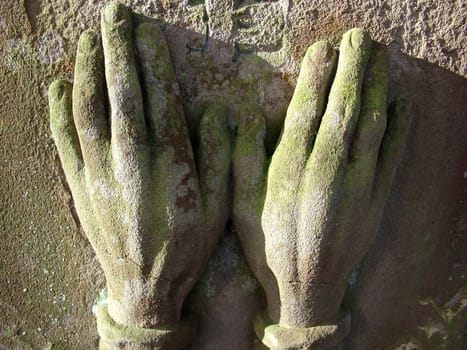 Petrified