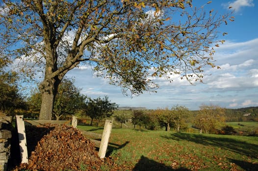 Autumnal