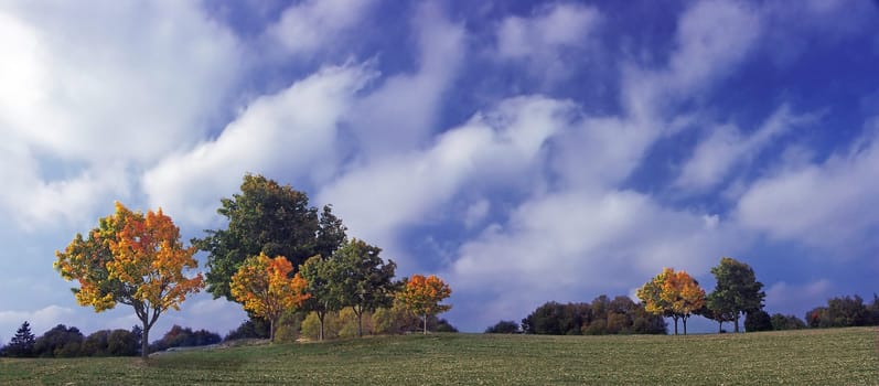 Autumn Panorama