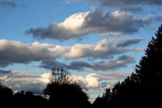 Cloud Play