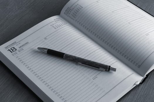 Diary