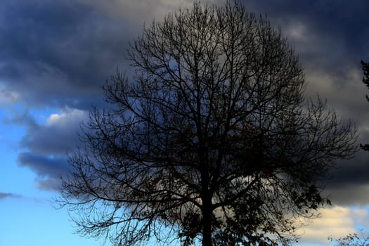 Cloud Play
