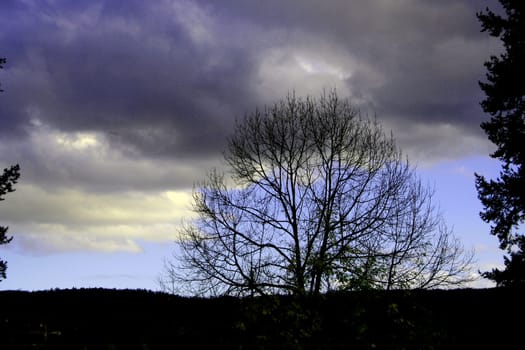 Cloud Play