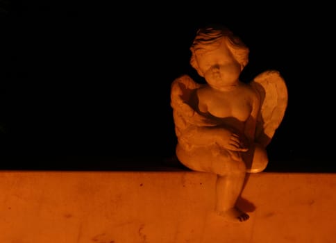 .... I was yesterday on one of my nightly forays... all of a sudden,this little angel smiled at me from the side...