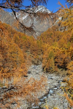 Mountains