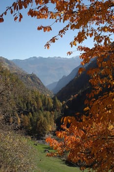 Mountains