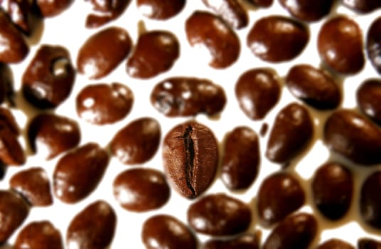 White coffee