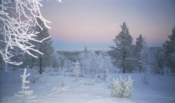 Winter