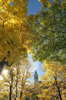 Colors in the city