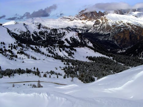 Snowy landscape