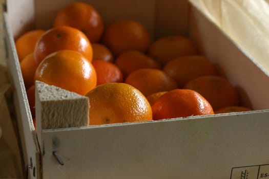 Tangerine box