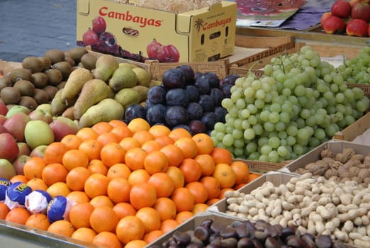 Fruit