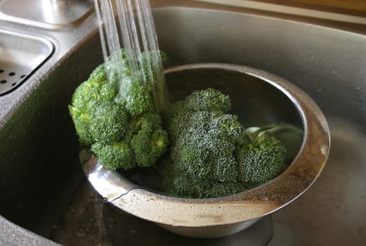 Broccoli