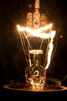 Bulb 01
