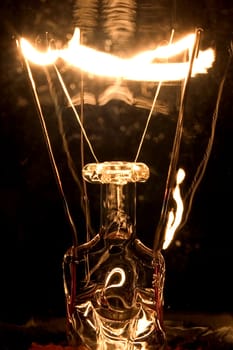Bulb 02