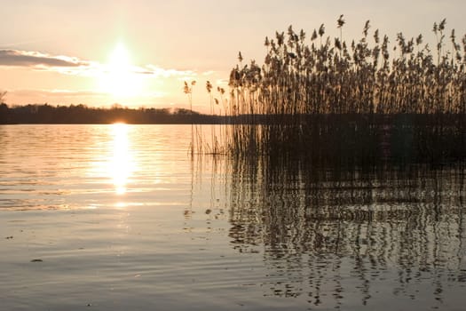 Evening at the lake 01